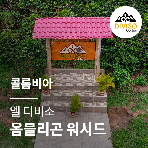 콜롬비아 엘 디비소 옴블리곤 워시드
