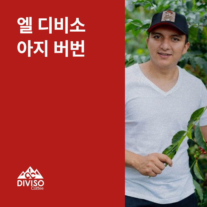 콜롬비아 엘 디비소 아지 버번 아나에어로빅 내추럴
