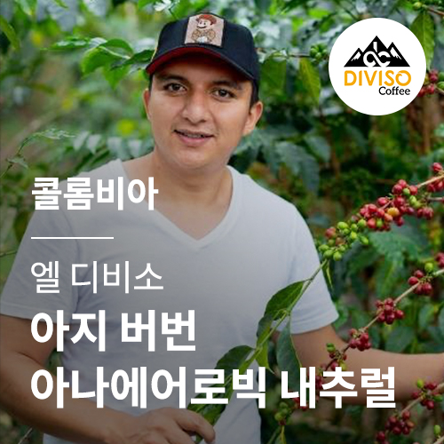 콜롬비아 엘 디비소 아지 버번 아나에어로빅 내추럴