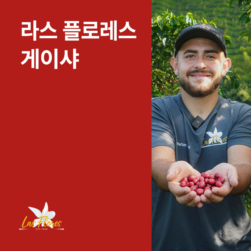 콜롬비아 라스 플로레스 게이샤 워시드