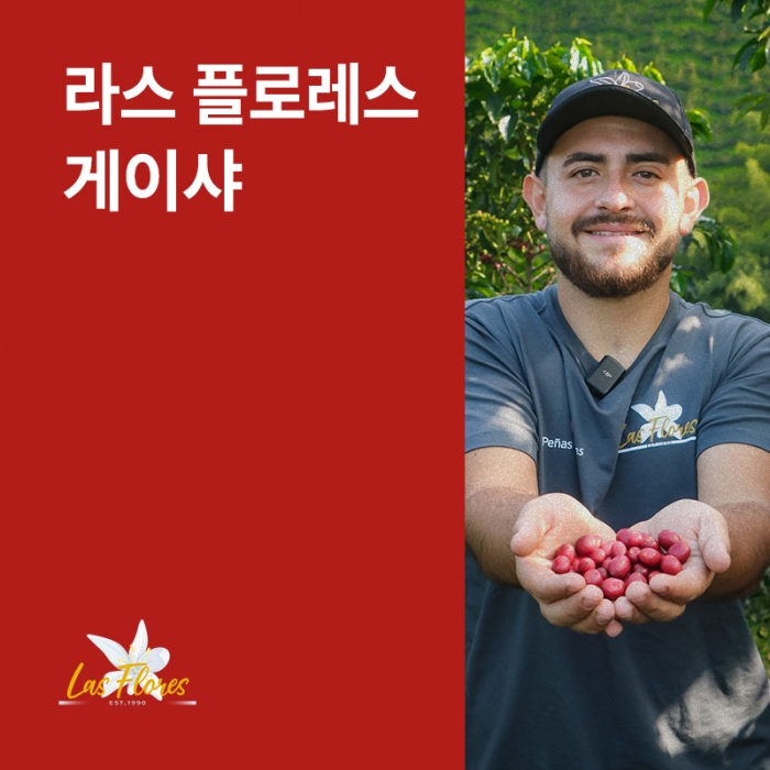 콜롬비아 라스 플로레스 게이샤 워시드