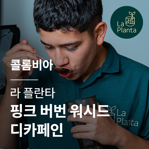 콜롬비아 라 플란타 핑크 버번 워시드 디카페인