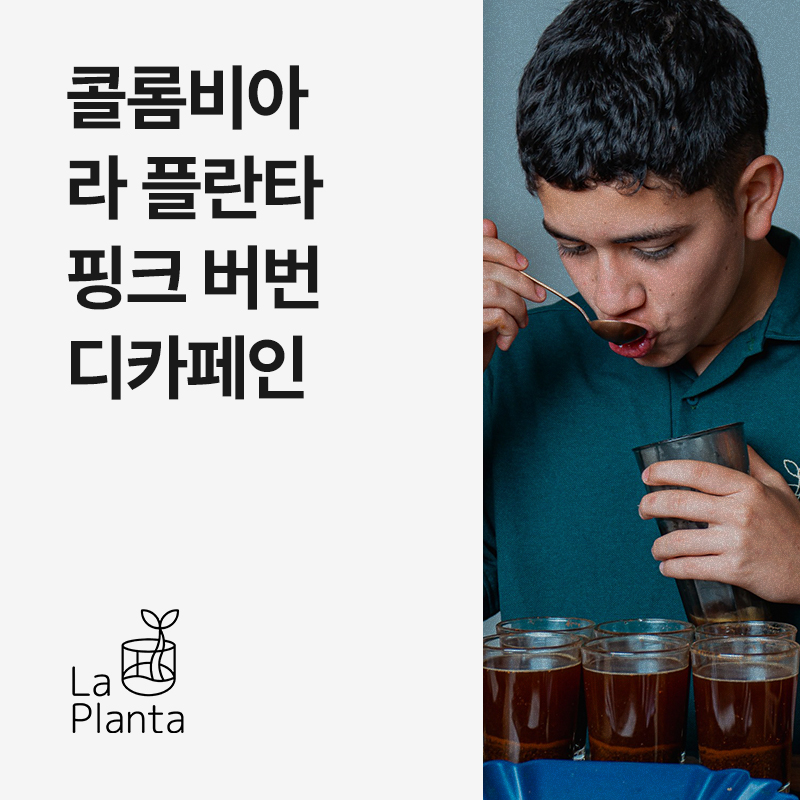 콜롬비아 라 플란타 핑크 버번 워시드 디카페인