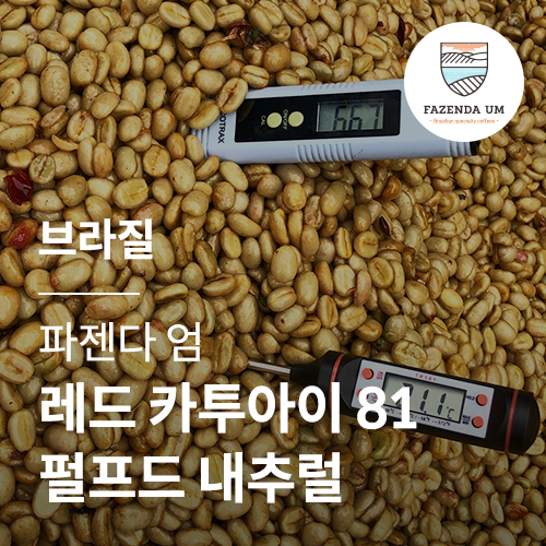 브라질 파젠다 엄 레드 카투아이 81 펄프드 내추럴