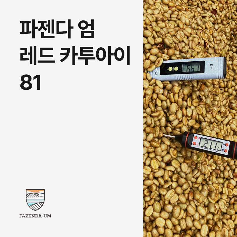 브라질 파젠다 엄 레드 카투아이 81 펄프드 내추럴