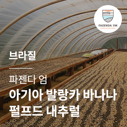 브라질 파젠다 엄 아기아 발랑카 바나나 펄프드 내추럴