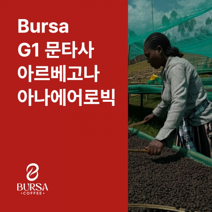 에티오피아 Bursa G1 문타사 아르베고나 아나에어로빅 내추럴
