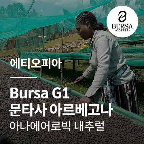 에티오피아 Bursa G1 문타사 아르베고나 아나에어로빅 내추럴