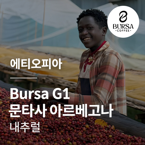 에티오피아 Bursa G1 문타사 아르베고나 내추럴