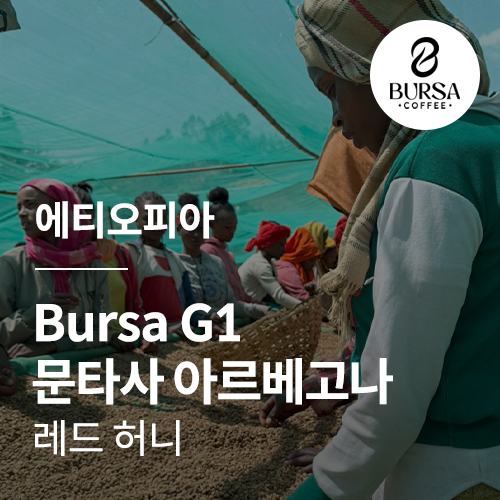 에티오피아 Bursa G1 문타사 아르베고나 레드 허니
