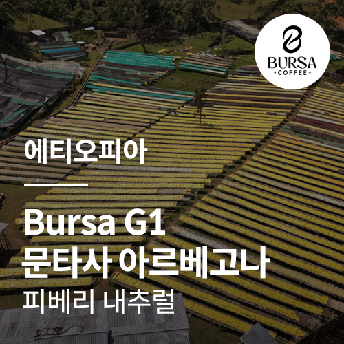 에티오피아 Bursa G1 문타사 아르베고나 피베리 내추럴