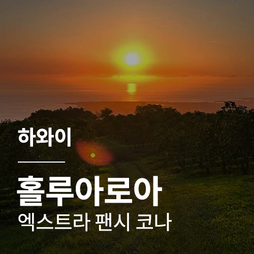 하와이 홀루아로아 엑스트라 팬시 코나