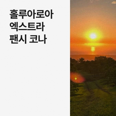 하와이 홀루아로아 엑스트라 팬시 코나