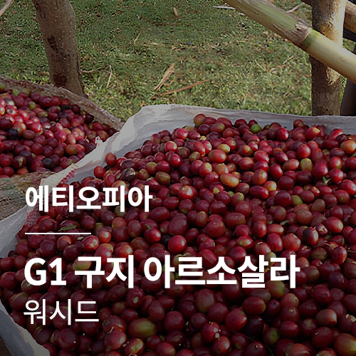 에티오피아 G1 구지 아르소살라 워시드