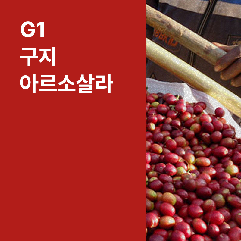 에티오피아 G1 구지 아르소살라 워시드
