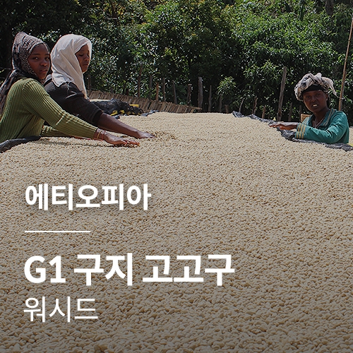 에티오피아 G1 구지 고고구 워시드 · 7월세일