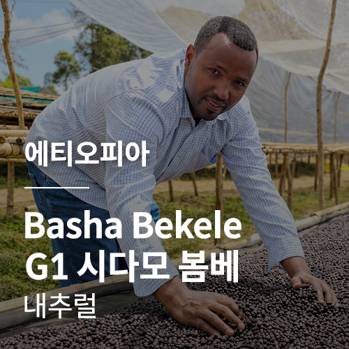 에티오피아 Basha bekele G1 시다모 벤사 봄베 내추럴