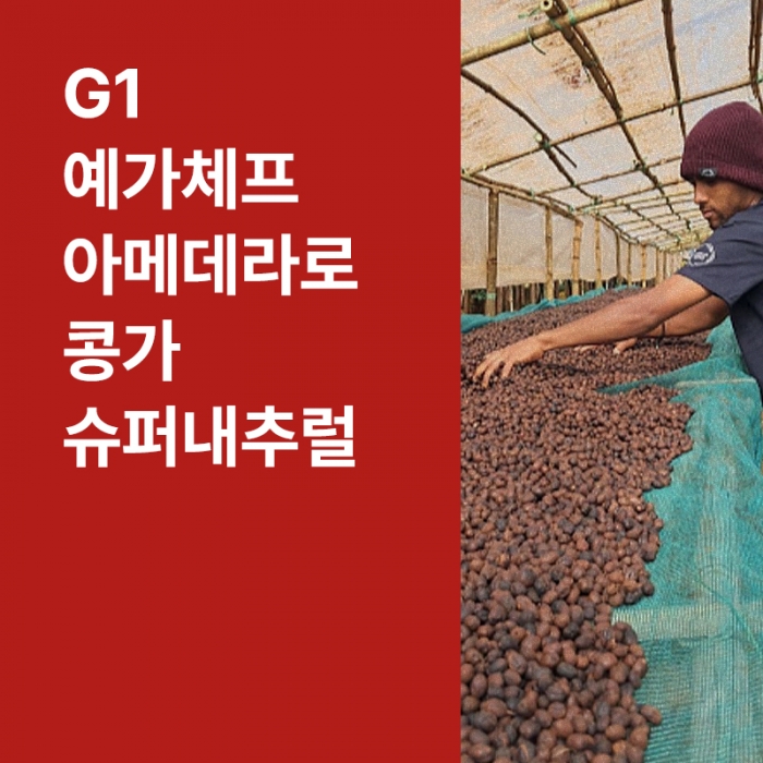 에티오피아 G1 예가체프 아메데라로 콩가 슈퍼내추럴