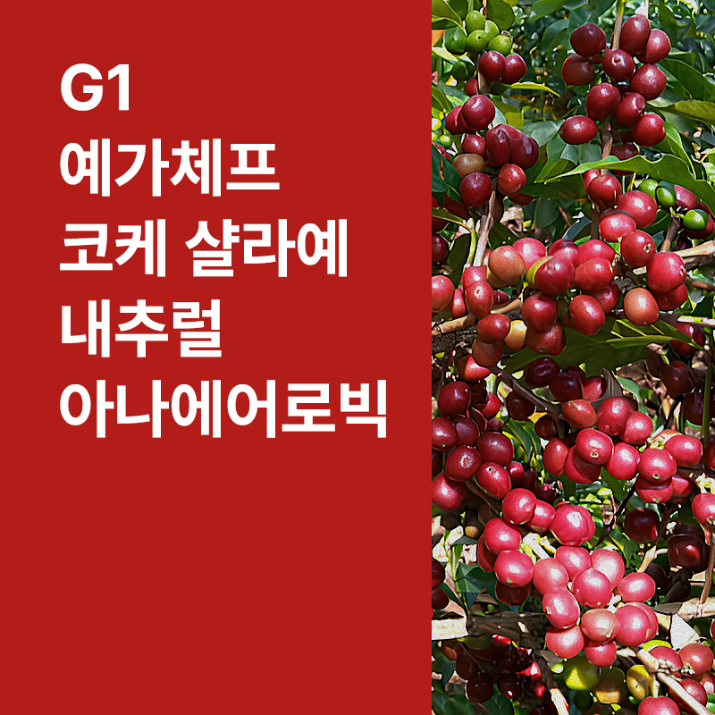 에티오피아 G1 예가체프 코케 샬라예 아나에어로빅 내추럴