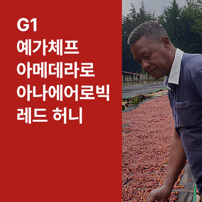 에티오피아 G1 예가체프 아메데라로 아나에어로빅 레드 허니