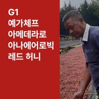 에티오피아 G1 예가체프 아메데라로 아나에어로빅 레드 허니