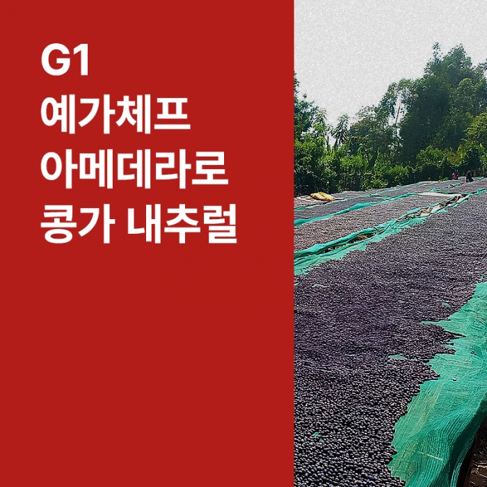에티오피아 G1 예가체프 아메데라로 콩가 내추럴 &middot; 9월세일