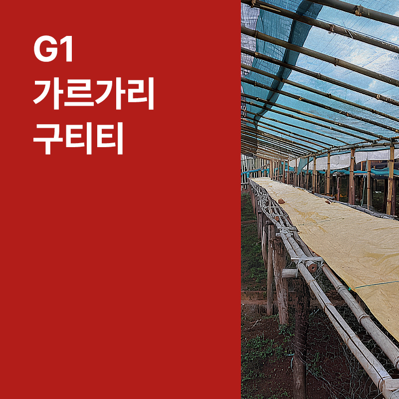 에티오피아 G1 예가체프 가르가리 구티티 워시드