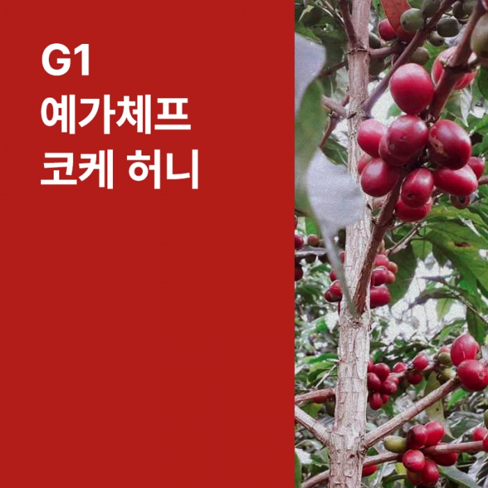 다다익값 에티오피아 G1 예가체프 코케 허니 내추럴 ★단독주문★ 해주세요. / 8월4일 순차 출고예정