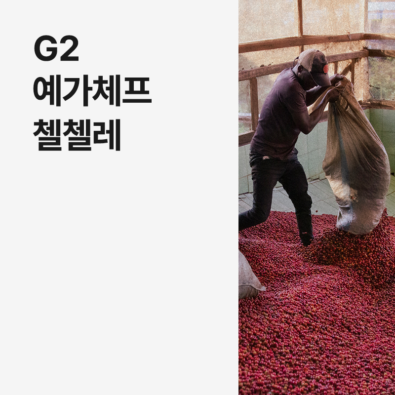 에티오피아 G2 예가체프 첼첼레 내추럴