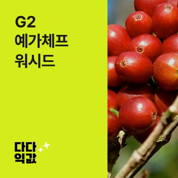 다다익값 에티오피아 G2 예가체프 워시드 ★단독주문★ 해주세요. / 9월16일 순차 출고예정
