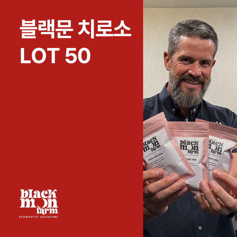 파나마 Black Moon 치로소 아나에어로빅 내추럴 Lot 50