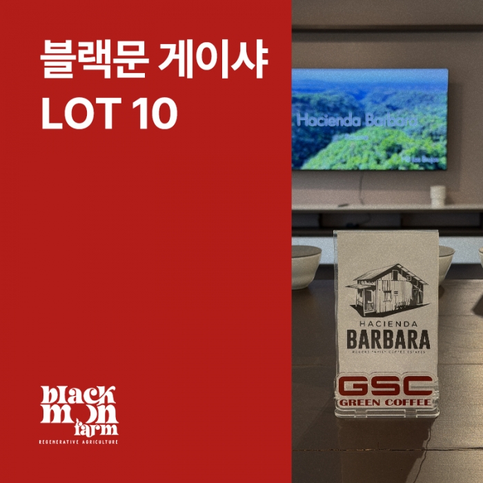 파나마 Black Moon 게이샤 아나에어로빅 내추럴 Lot 10