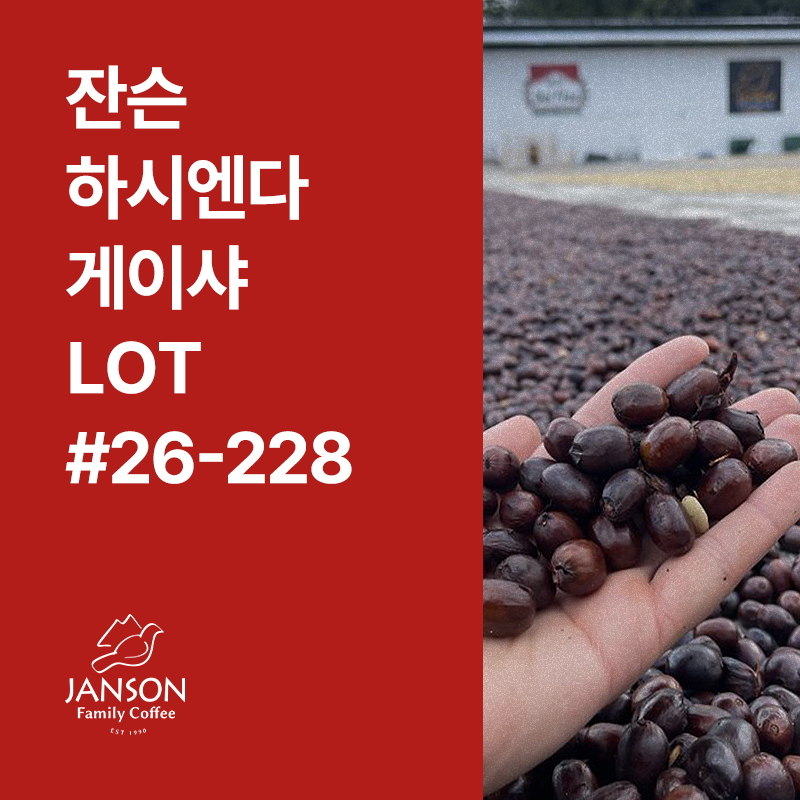 파나마 잔슨 하시엔다 게이샤 내추럴 LOT #26-228