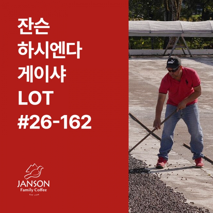 파나마 잔슨 하시엔다 게이샤 내추럴 LOT #26-162