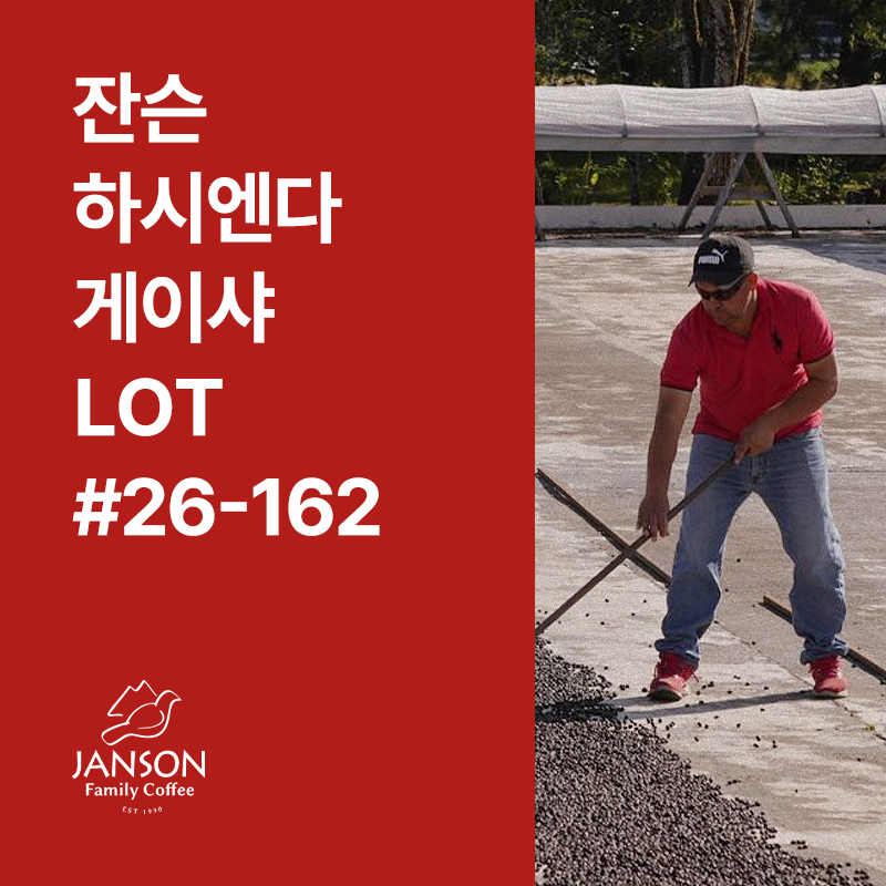 파나마 잔슨 하시엔다 게이샤 내추럴 LOT #26-162