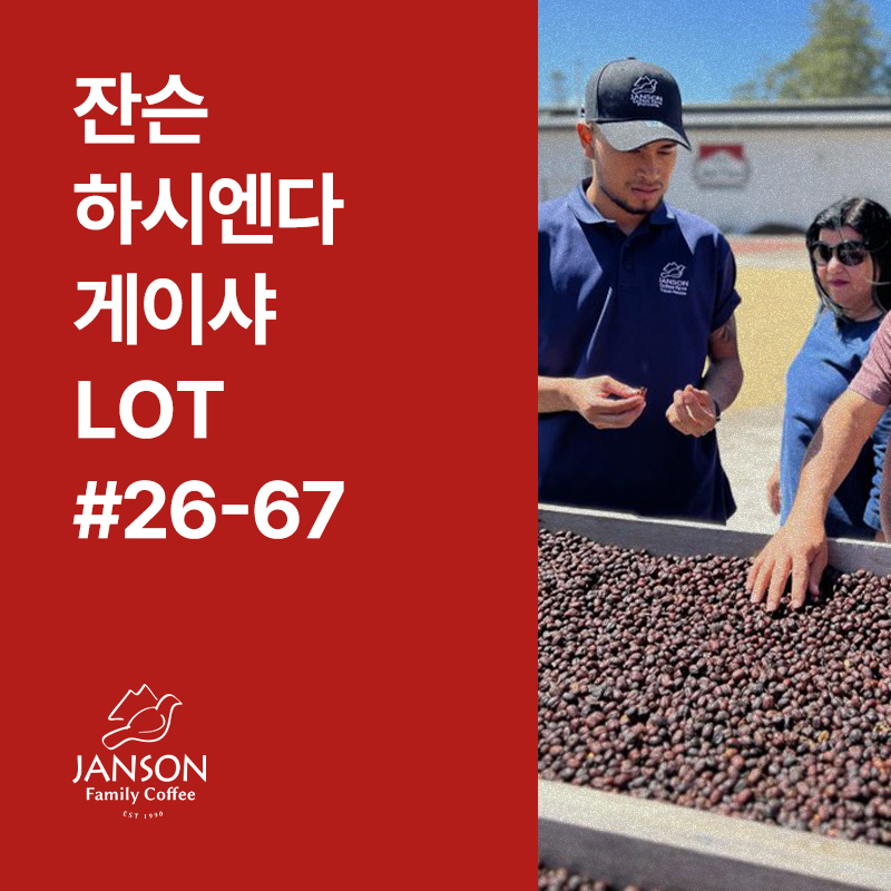 파나마 잔슨 하시엔다 게이샤 내추럴 LOT #26-67