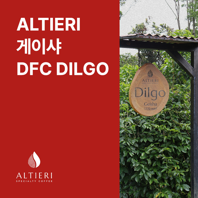 파나마 ALTIERI 게이샤 내추럴 DFC DILGO