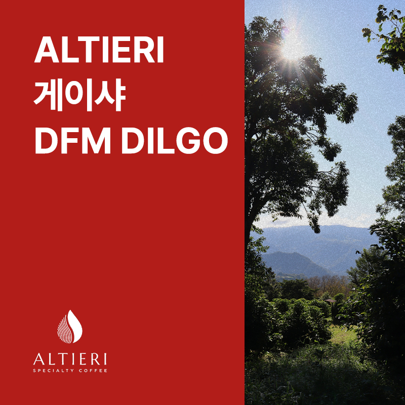파나마 ALTIERI 게이샤 내추럴 DFM DILGO