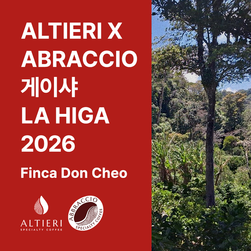 파나마 ALTIERI X ABRACCIO 게이샤 워시드 LA HIGA 2026 (Finca Don Cheo)