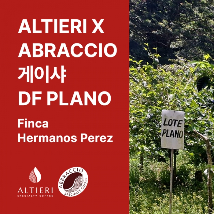파나마 ALTIERI X ABRACCIO 게이샤 내추럴 DF Plano (Finca Hermanos Perez)