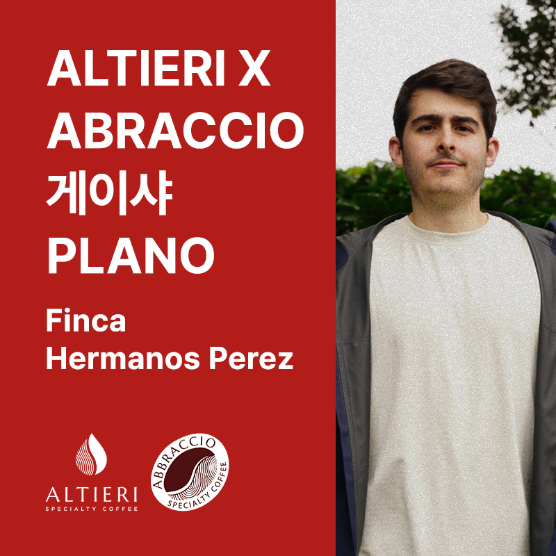 파나마 ALTIERI X ABRACCIO 게이샤 워시드 퍼먼티드 Plano (Finca Hermanos Perez)