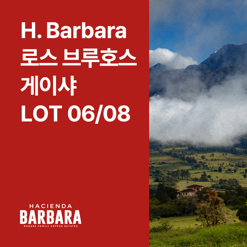 파나마 H. Barbara 로스 브루호스 게이샤 워시드 Lot 06/08