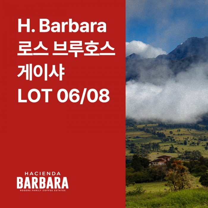파나마 H. Barbara 로스 브루호스 게이샤 워시드 Lot 06/08
