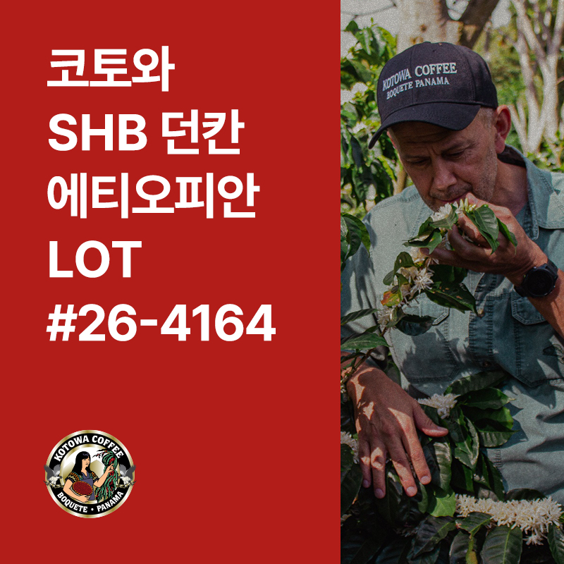 파나마 코토와 SHB 던칸 에티오피안 내추럴 Lot#26-4164