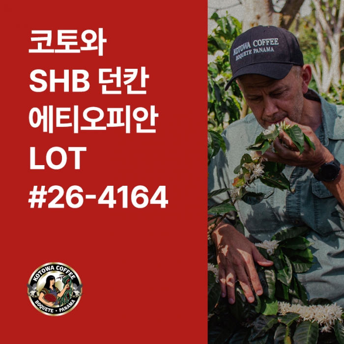 파나마 코토와 SHB 던칸 에티오피안 내추럴 Lot#26-4164