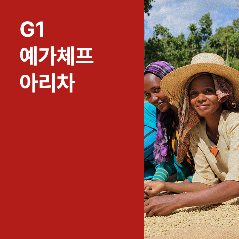 에티오피아 G1 예가체프 아리차 워시드