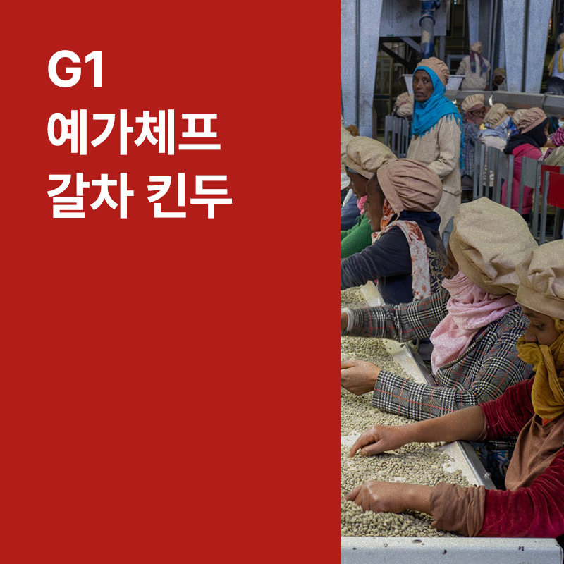 에티오피아 G1 예가체프 갈차 킨두 수퍼내추럴