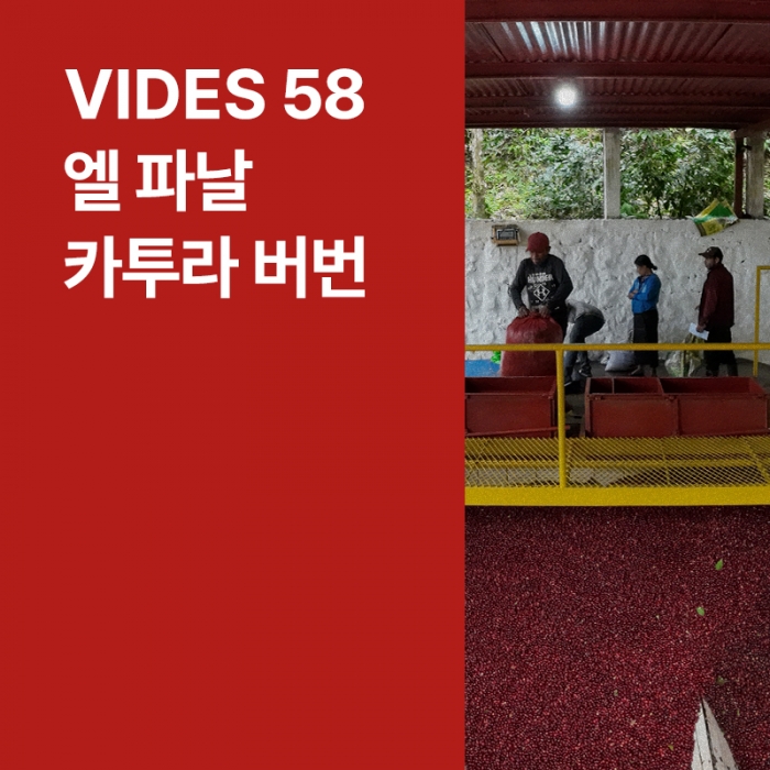 과테말라 Vides 58 엘 파날 카투라 버번 내추럴
