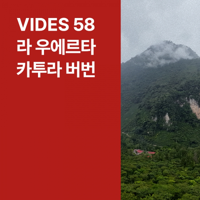 과테말라 Vides 58 라 우에르타 카투라 버번 워시드