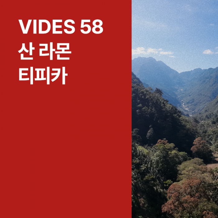 과테말라 Vides 58 산 라몬 티피카 워시드